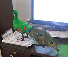 Plumas artificiales pájaro alrededor de 42cm colorido juguete de pavo real modelo decoración del hogar realización prop regalo h1096 2024 - compra barato