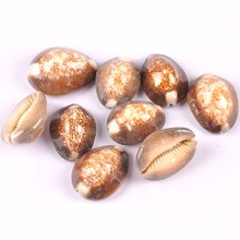 5pcs Natural shell Scrapbooking Craft seashells for glass bottle home Diy decoration 2.5-3.5cm Cypraea caputserpentis TRS0286 2024 - buy cheap