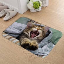 FOKUSENT Indoor Door Mat Flannel Soft Pets Cat and Dog Floor Mats Foot Pad Toilet Tapete Rugs for Living Room 2024 - buy cheap