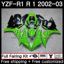 Корпус для YAMAHA YZF R 1 YZF 1000 YZF-R1 2002 2003 20HC. 2 YZF R1 02 03 YZF-1000 YZF1000 YZFR1 02 03 Зеленый Черный ГОРЯЧИЙ обтекатель рамка 2024 - купить недорого