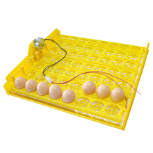 Инкубатор для птицы, автоматический инкубатор для 56 яиц, 7*8 отверстий, для цыплят, уток и другой птицы 2024 - купить недорого