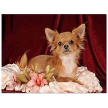 Cão 50x65cm 3d diy diamante bordado needlework quadrado diy pintura diamante moda decoração para casa pintura ponto cruz 2024 - compre barato