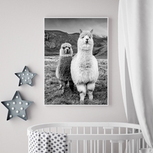 Decoración del hogar lienzo Animal Alpaca Estilo nórdico negro blanco impresiones de alta definición póster pintura para pared de salón arte cuadro Modular 2024 - compra barato