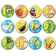 Baby Pregnant Women Monthly Photograph Stickers Fun Sports theme 1-12 Month Milestone Clothes Decoration Stickers 12Pcs/Set 2024 - compre barato