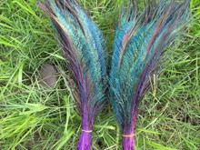 20 pcs /  lot of beautiful purple peacock feathers 12-14 "/ 30-35cm, DIY weddings, reunions, family, earrings accessories. 2024 - buy cheap