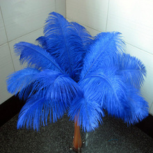 Wholesale!100pcs 25-30cm/10-12inch  blue ostrich plumes feather cheap feathers ostrich feather wedding table decoration 2024 - buy cheap
