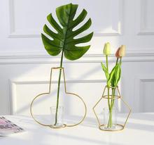 1PC Home Party Vase Abstract Gold Lines Minimalist Abstract Iron Glass Vase Dried Flower Vase Racks Nordic Flower Decor. JL 226 2024 - buy cheap
