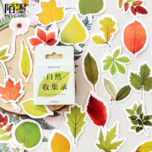 XINAHER 46 Pcs/Box autumn maple leaves mini decoration paper sticker package DIY diary decoration sticker album scrapbooking 2024 - buy cheap