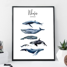 Watercolor Whales Canvas Art Print Painting Poster Wall Decor , Marine Art Cetacea Poster Wall Pictures For Home Decoration 2024 - buy cheap