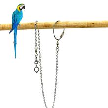 1Pc New Bird Parrot Foot Chain Stainless Steel Ankle Foot Ring Stand Outdoor Flying Training Bird Accessories 2024 - buy cheap