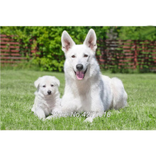 DIY Diamond Painting Cross Stitch White Swiss Shepherd Dogs Needlework 5D Diamond Mosaic Painting Full Diamond Embroidery YG120 2024 - buy cheap