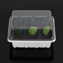 6/12Cells Mini Plastic Planting Tray Sprout Plate Nursery Pots Seed Grow Base With Clear Cover Lids Germinating Box Gardening 2024 - buy cheap