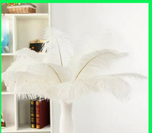 20pcs 55-60cm/22-24 inches white Ostrich feathers natural ostrich feather plumes for wedding christmas party stage decorations 2024 - buy cheap