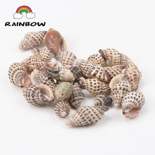 Natural Spiral Shell Loose Beads For Decoration Jewelry Making DIY Accessories 25-32mm 10pcs 2024 - buy cheap