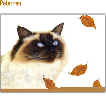 Peter ren pintura de diamante gato bordado, folhas de bordo 5d quadrado, mosaico de diamantes, bastão de desenho de animal faça você mesmo 2024 - compre barato