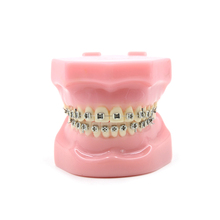 Modelo de dientes tipodoncia de ortodoncia de buena calidad, soporte de abrazaderas, Typodont con arco de alambre, molde Dental, herramienta de cuidado Dental 2024 - compra barato