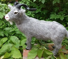 Simulação ovelha modelo duro polietileno & furs grande 37x26cm cinza cabra artesanato decoração de casa presente s0789 2024 - compre barato