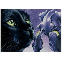 3d diamante bordado gato preto diy quadrado cristal strass colado diy pintura diamante mosaico needlework fotos 2024 - compre barato