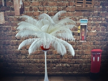 Wholesale -100pcs/lot 14-16inches 35-40cm White Ostrich Feathers, Ostrich Plume wedding decoration centerpieces 2024 - buy cheap