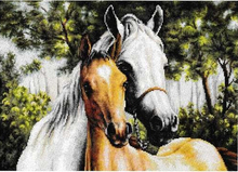 Top Quality Lovely Hot Sell Counted Cross Stitch Kit Two Horse Horses Mare and Foal Mother and Baby 2024 - buy cheap
