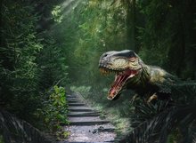 Fundo para crianças, jurassic park world dinossauro escada evergreen planta cenário impresso por computador 2024 - compre barato