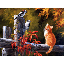 Pintura de diamante redondo/cuadrado completa, cuadro artesanal 5D, bordado de "gato y pájaros", punto de cruz, decoración del hogar 3D 2024 - compra barato