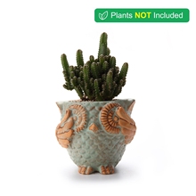 T4U Coruja Em Relevo vaso para cactus plantador suculenta bonsai vaso de flores Em Forma de Vasos de Plantas jardim decoração 2024 - compre barato