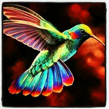 Full square drill 5d diamond painting hummingbird animal pattern home decoration diamond embroidery 3d diamond mosaic 2024 - buy cheap