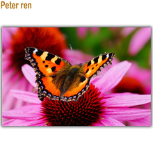 Peter ren-kit de punto de cruz para pintar con diamantes, bordado de diamantes de imitación, bordado de mariposa en la flor, artesanía, costura 2024 - compra barato