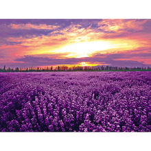 Pintura de diamantes 5D DIY, bordado al atardecer, lavanda, costura, mosaico de diamantes completo, punto de cruz, decoración del hogar 2024 - compra barato