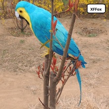 big real life parrot model foam&feather simulation blue&yellow parrot bird doll gift about 60cm xf1018 2024 - buy cheap