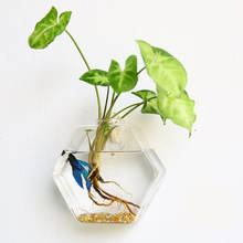 Creative Hanging Glass Planter Vase Terrarium Container Home Garden Wall Decor 2024 - buy cheap
