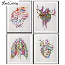 Diamond Painting full square/round diamond Embroidery sale Watercolor Human Heart Lungs Anatomy Mosaic 5d diy display FS5074 2024 - buy cheap