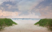 Blue Ocean Beach sand green grass clouds backgrounds  High quality Computer print children kids photo backdrop 2024 - buy cheap