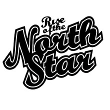 15.2*11CM RISE OF THE NORTH STAR Fashion Car Decal Vinyl Car Styling Stickers Accessories Black/Silver C9-0405 2024 - buy cheap