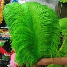 Plumaje de avestruz verde con pluma de avestruz de 50-55 cm/20-22 pulgadas de gran calidad, 50 Uds., envío gratis 2024 - compra barato