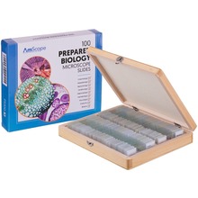 AmScope-Set D PS100D, 100, anatomía, botánica, Slides para microscopio 2024 - compra barato