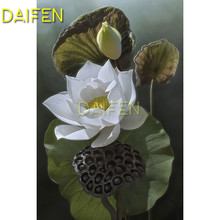 Full Round Diamond mosaic 5D DIY Diamond painting Full Square Diamond embroidery Cross stitch white Lotus flower fruit summer 2024 - buy cheap