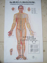 7 set wallmap the human body 2024 - buy cheap