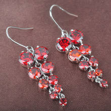Adorable Design Red Stone For Women Drop Earrings Jewelry  LS082 2024 - buy cheap