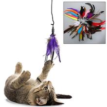 Сменная палочка с головой пера, игрушки, 1 шт., палочка для кошек, выдвижная палочка для кошек, цветные интерактивные товары для домашних животных 2024 - купить недорого