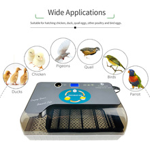 Digital Egg Incubator Machine Automatic Eggs Hatcher with Eggtester Automatic Egg Turning 12 Eggs Poultry Hatcher 110-220V 2024 - buy cheap
