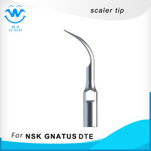 5pcs GD2, dental ultrasonic scaler scaling tip compatible with Satelec Woodpecker-DTE scaler machine 2024 - buy cheap