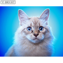 5D DIY Алмазная Картина Вышивка крестом животное кошка полная квадратная Алмазная вышивка рукоделие алмазные Стразы домашний декор XY1 2024 - купить недорого