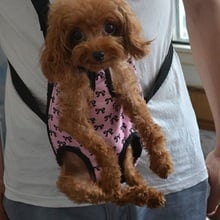 Bolsa de transporte para perros pequeños, mochila frontal para el pecho, color negro y rosa, novedad 2024 - compra barato