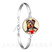 Pulseira de buldogue francês e spaniel, pulseira de corrente banhada a prata fofa, de vidro com domo, jóias para homens e mulheres 2024 - compre barato