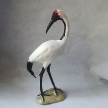 Vida real brinquedo bonito branco Guindaste Vermelho-coroado 35x15 centímetros modelo modelo de polietileno & peles de aves casa decoração adereços, modelo presente d0671 2024 - compre barato