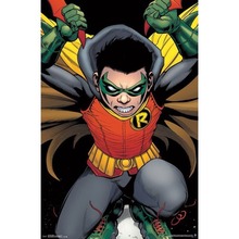 Home Decor Robin Damian-Silk Art Poster Wall Sicker Decoration Gift 2024 - buy cheap