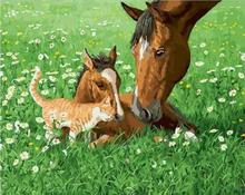 cat and horse on the grass painting calligraphy coloring by numbers hand painted canvas picture by number drawing brush paint 2024 - buy cheap