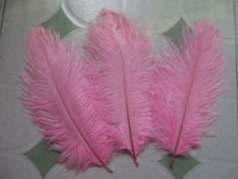 Perfect! Sales 100pcs15-20CM Beautiful Brown Ostrich Feather, DIY Jewelry Accessories, Wedding Decorations 2024 - buy cheap